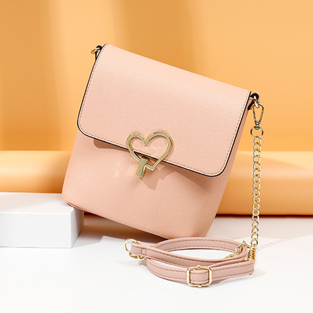 Shoulder Bag/Cross body Bag